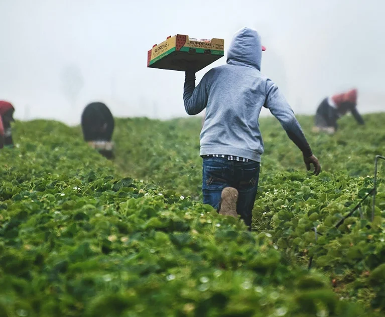 Discover how food processing and value addition are shaping the future of agribusiness in Kenya and East Africa.