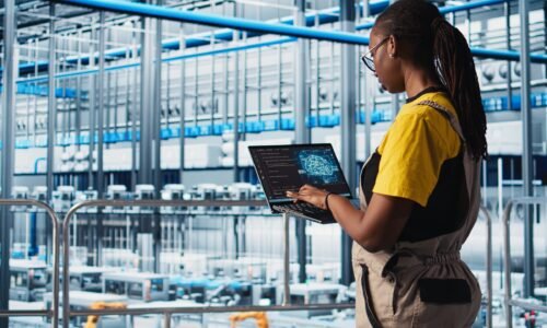 FoodSense designs efficient factory layouts, irrigation, and drainage systems that maximize productivity, reduce costs, and promote sustainable resource use.