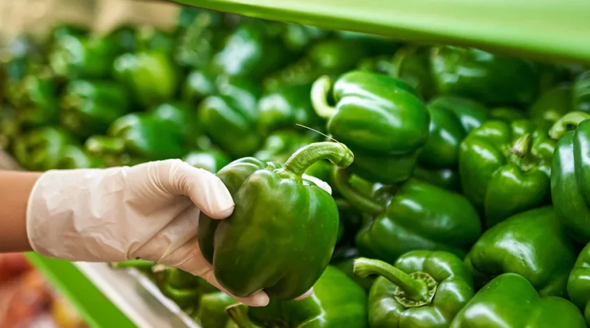 food quality audits.