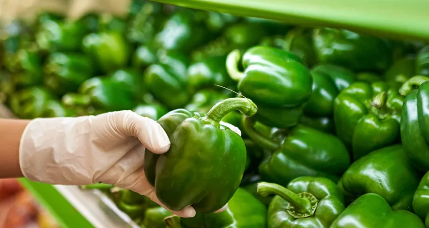 food quality audits.