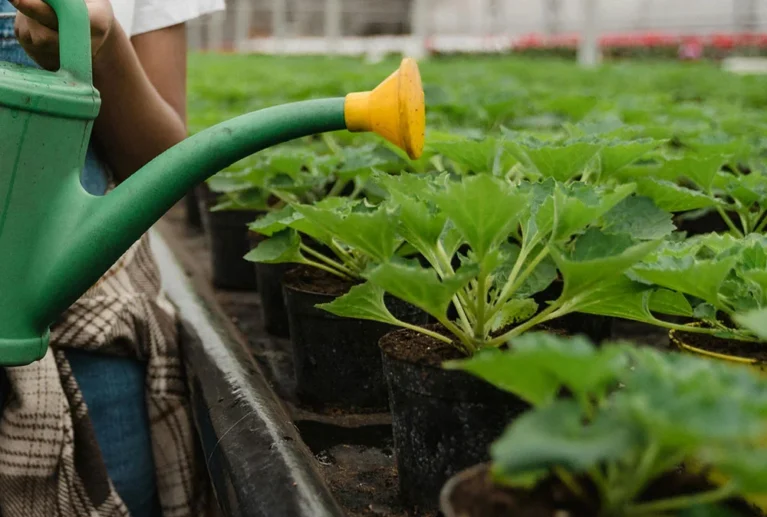 We deliver professional project evaluations at mid-term and completion stages, measuring impact, outcomes, and sustainability.