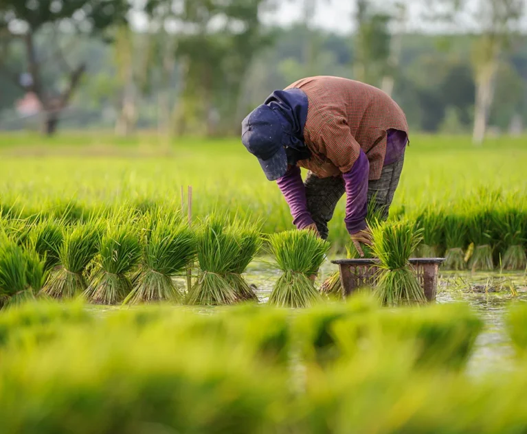 Discover how smart irrigation and drainage systems are transforming agriculture and improving farm yields in East Africa.