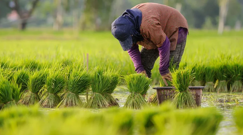Discover how smart irrigation and drainage systems are transforming agriculture and improving farm yields in East Africa.
