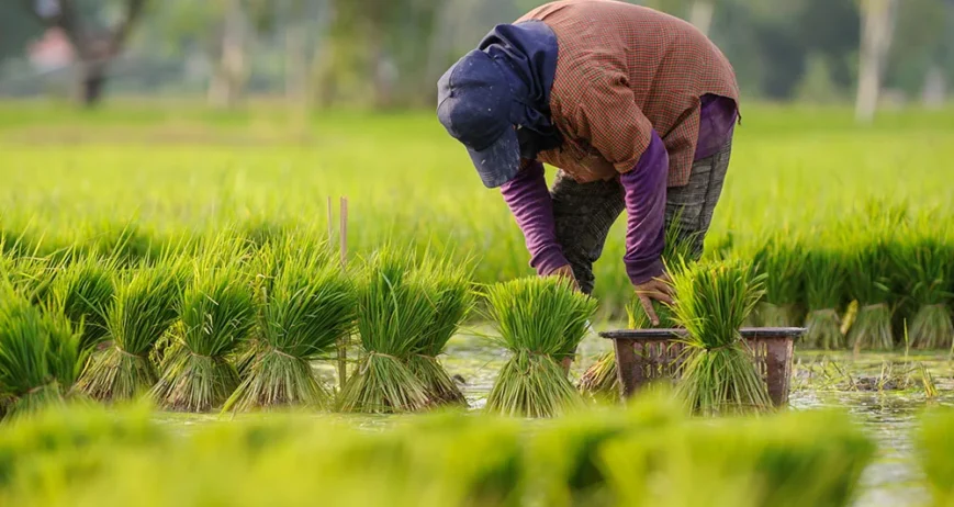 Discover how smart irrigation and drainage systems are transforming agriculture and improving farm yields in East Africa.