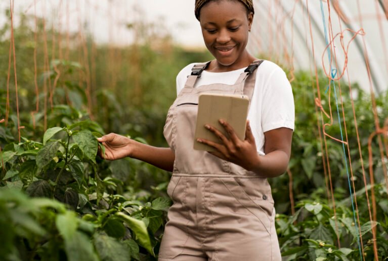 We provide ongoing support to track performance, detect inefficiencies, and implement timely improvements.